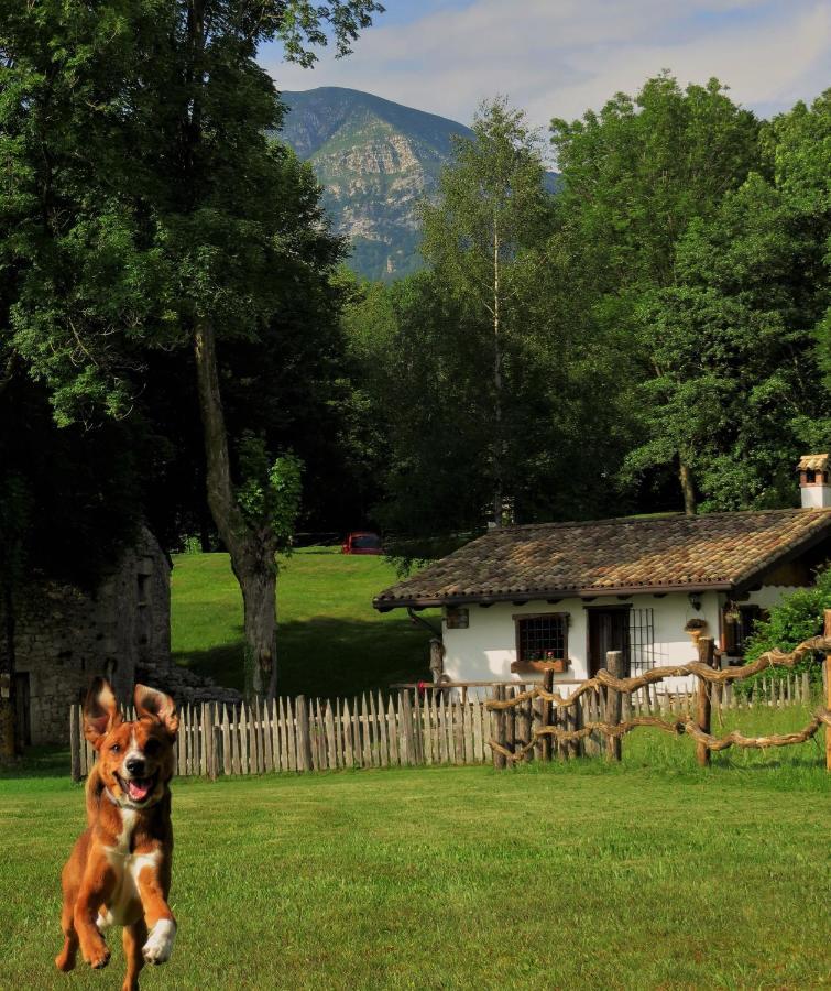 Tana Da L'ors Holiday home *
