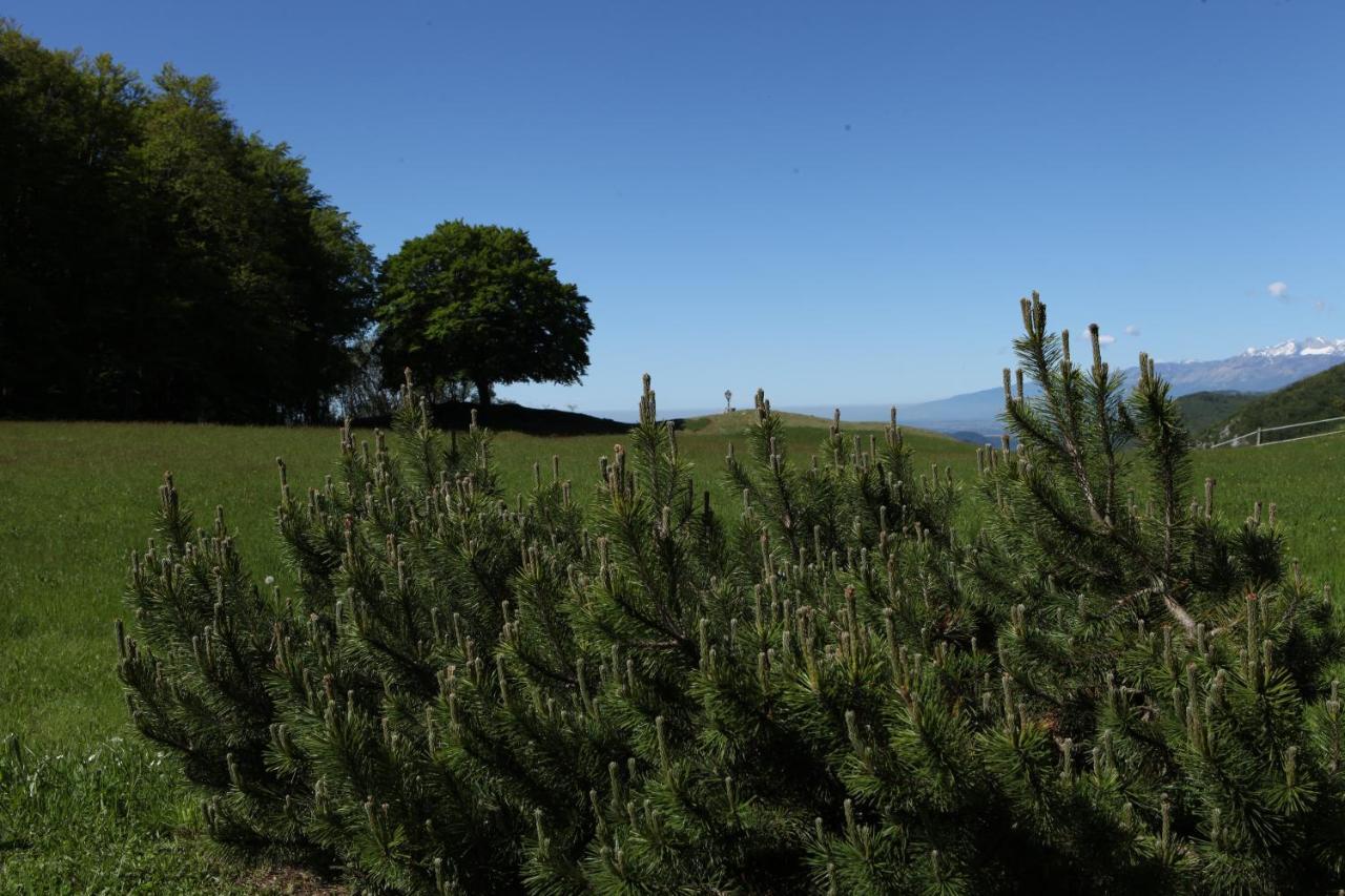 Holiday home Tana Da L'ors *