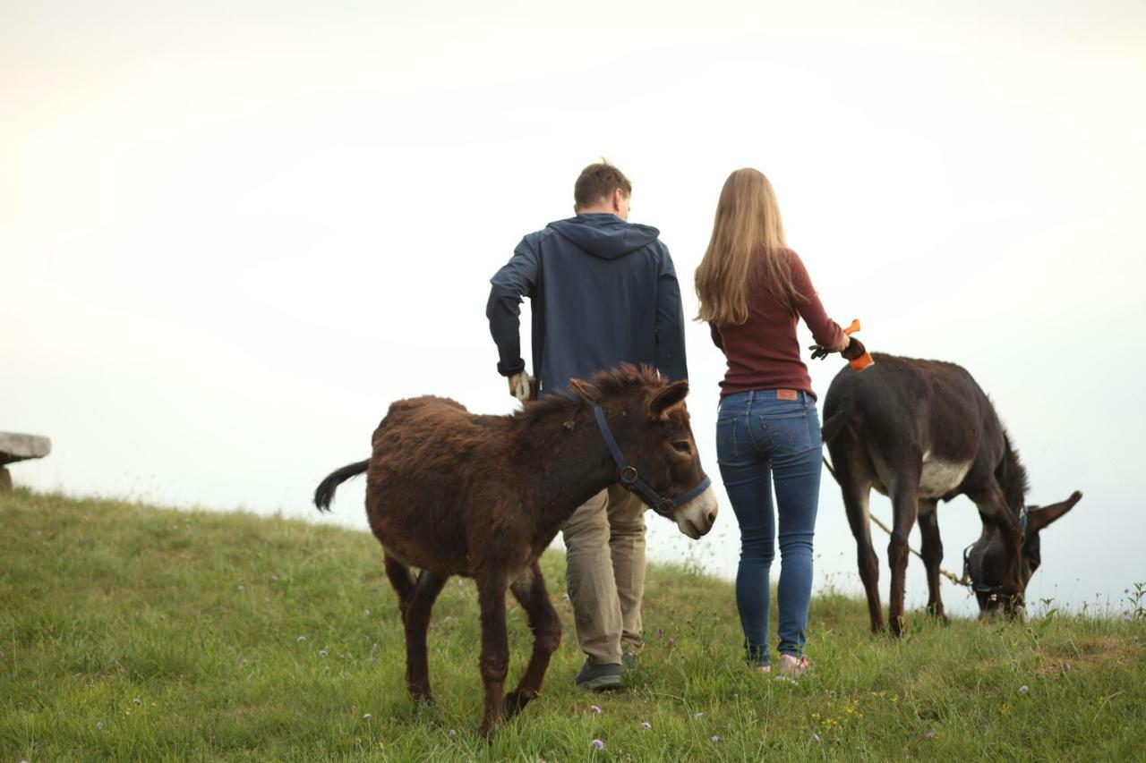 Tana Da L'ors Сasa de vacaciones